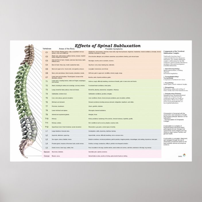 Effects of Spinal Subluxation Poster Chiropractic | Zazzle.co.uk