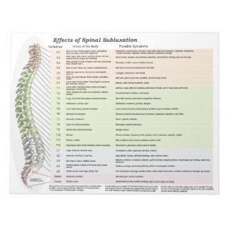 Effects of Spinal Subluxation Tear Off Notepad