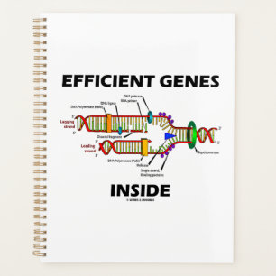 Efficient Genes Inside DNA Replication Humour Planner