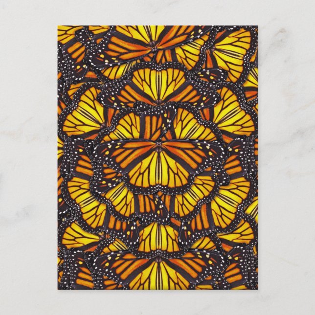 Effie's Butterflies Postcard (Front)