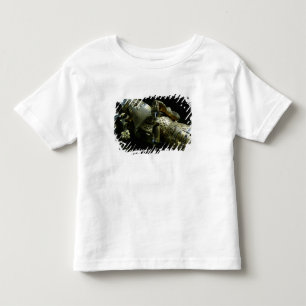 Effigy of Edward the Black Prince, 1376 Toddler T-Shirt