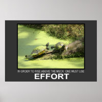 Effort