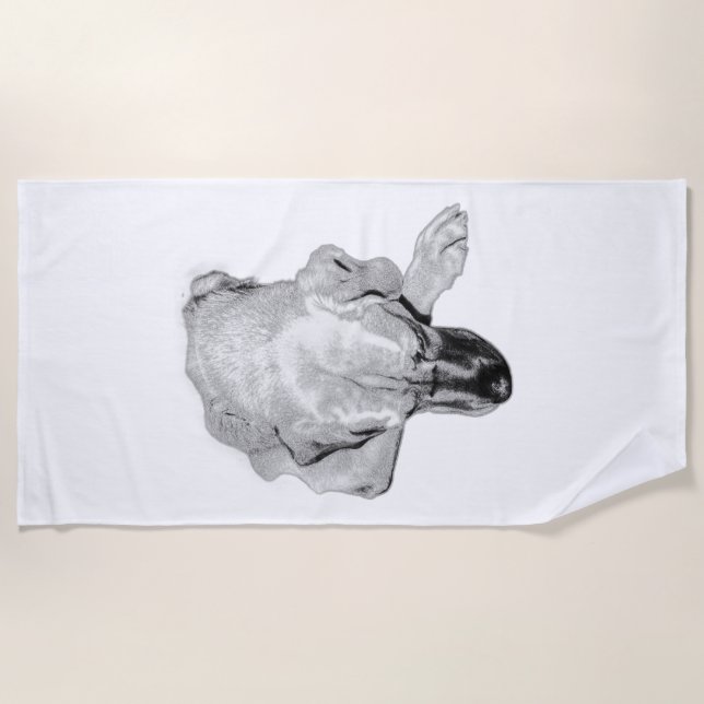 eflective Pup Summer Towel (Front)