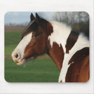 Egehojs Maj Mouse Mat
