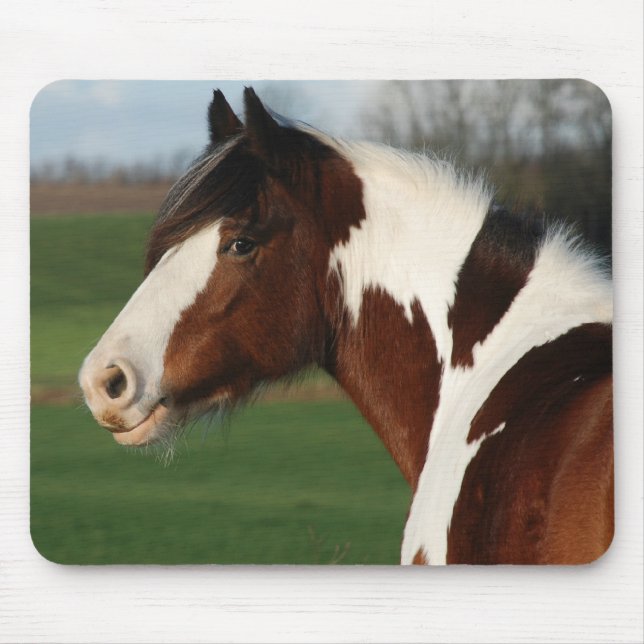 Egehojs Maj Mouse Mat (Front)