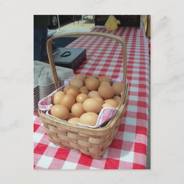Egg Basket Postcard (Front)