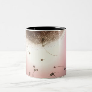 Egg being fertilised by sperm Two-Tone coffee mug