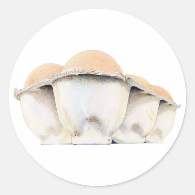 Egg Carton Sticker (Front)