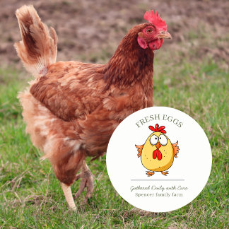 Egg chicken Cartoon customised egg box  Classic Round Sticker