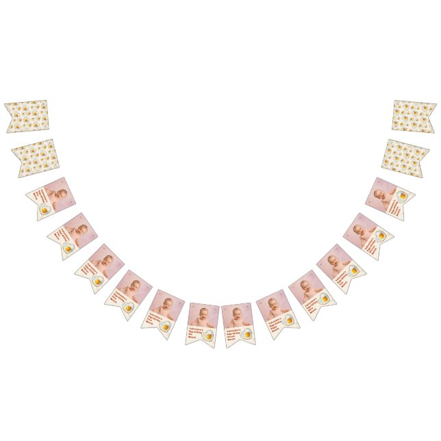 EGG-CITING BBQ BABY BIRTHDAY BUNTING  (All)