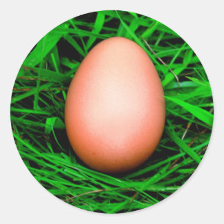 Egg Classic Round Sticker