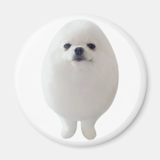 Egg Dog Magnet (Front)