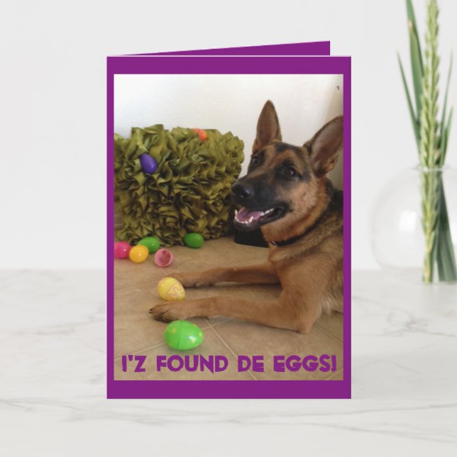 Egg hunter holiday card (Front)