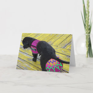 Egg Laying Easter Card