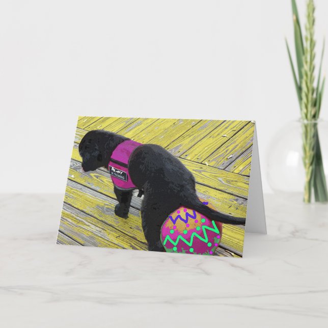 Egg Laying Easter Card (Front)