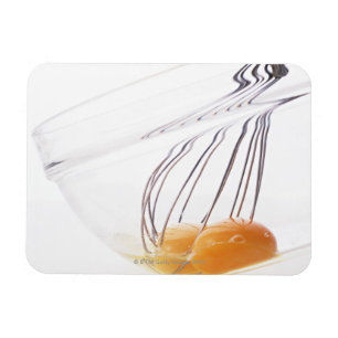 Egg Magnet
