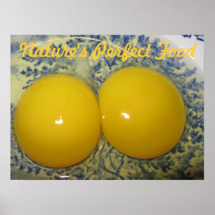 Egg Poster