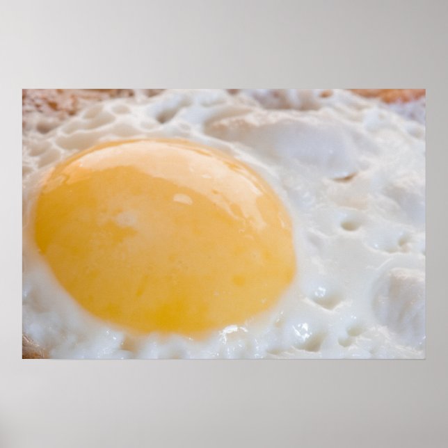 Egg Poster (Front)