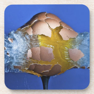 Eggceptional Coaster