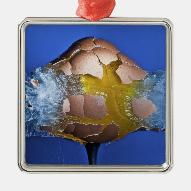 Eggceptional Metal Tree Decoration (Front)