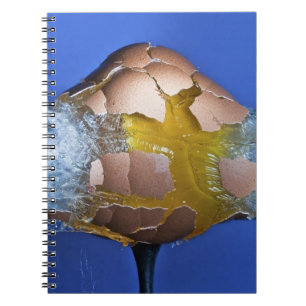 Eggceptional Notebook