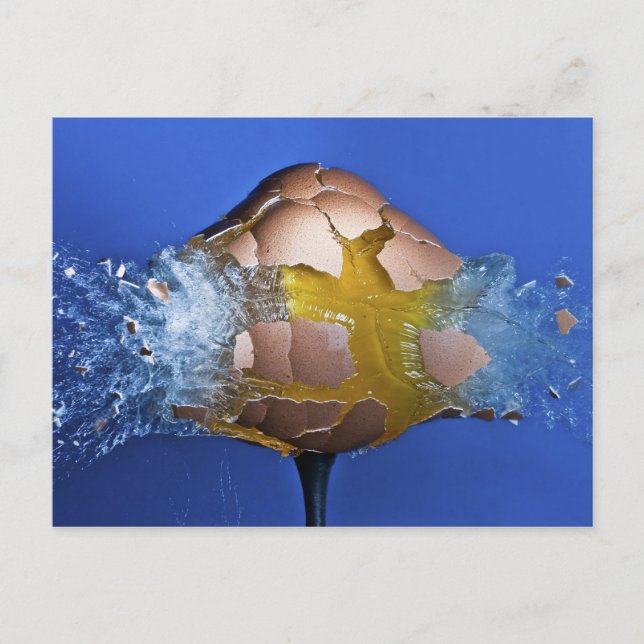 Eggceptional Postcard (Front)