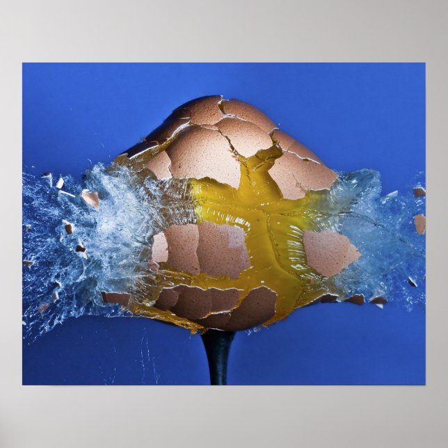 Eggceptional Poster (Front)