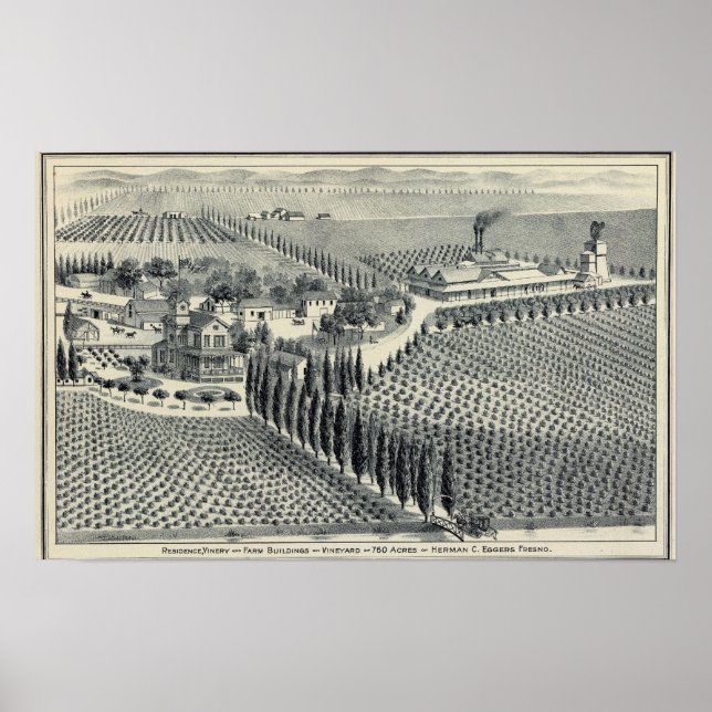 Eggers Vineyard, Fresno Poster (Front)