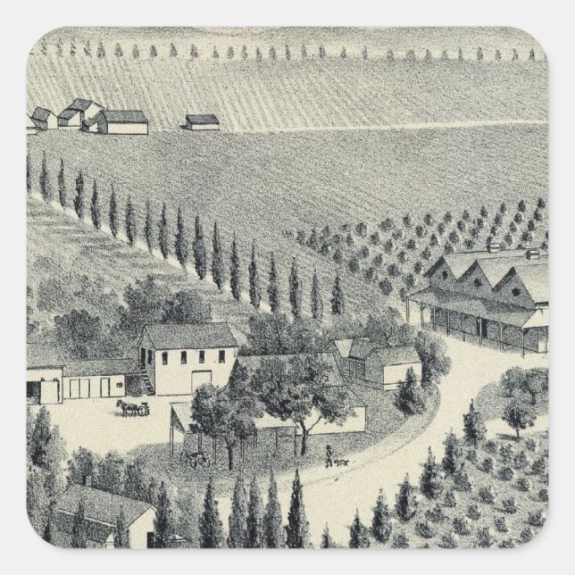 Eggers Vineyard, Fresno Square Sticker (Front)