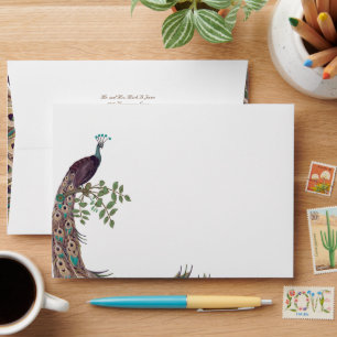 Eggplant Aqua and Gold Peacock Vintage Feathers Envelopes