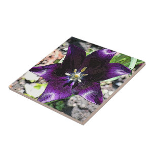 "EGGPLANT COLORED TULIP" CERAMIC TILE/TRIVET TILE