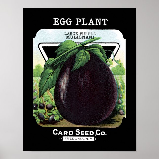 Eggplant Seed Packet Label Poster (Front)
