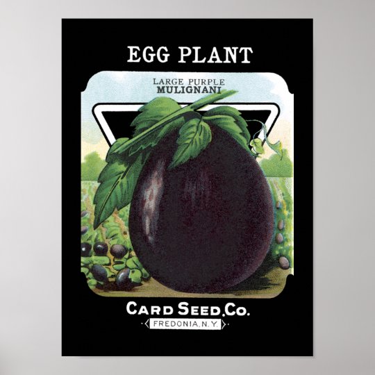 eggplant_vintage_seed_packet_poster rdc1d1b957ada422eb51ee36e5739761c_pj2_8byvr_540