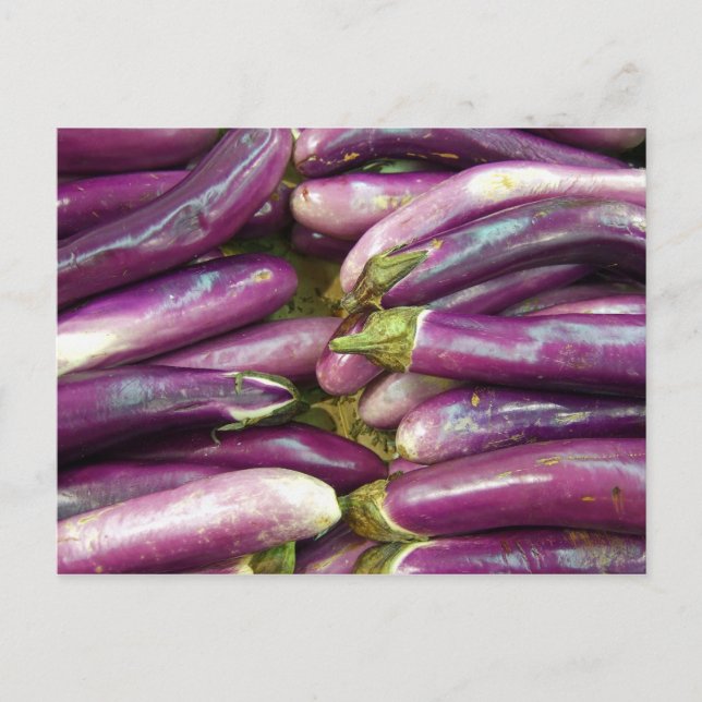 Eggplants Postcard (Front)