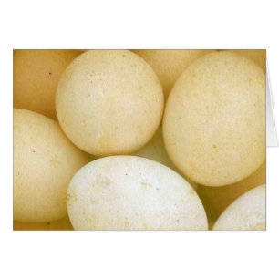 Eggs