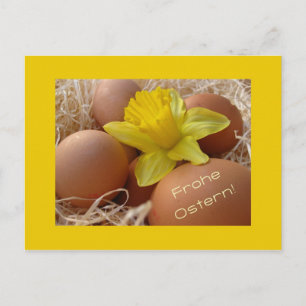 Eggs and daffodil easter greeting - german holiday postcard