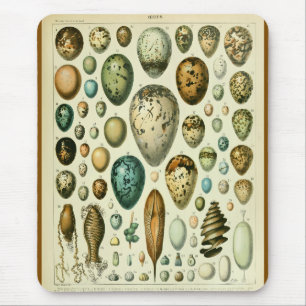 Eggs antique natural history illustration millot mouse mat