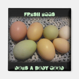 Eggs Does A Body Good Magnets