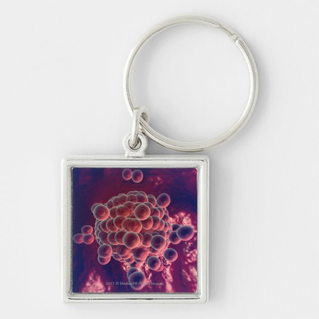 Eggs in an ovum key ring (Front)