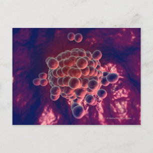 Eggs in an ovum postcard