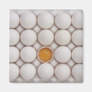 Eggs Magnet