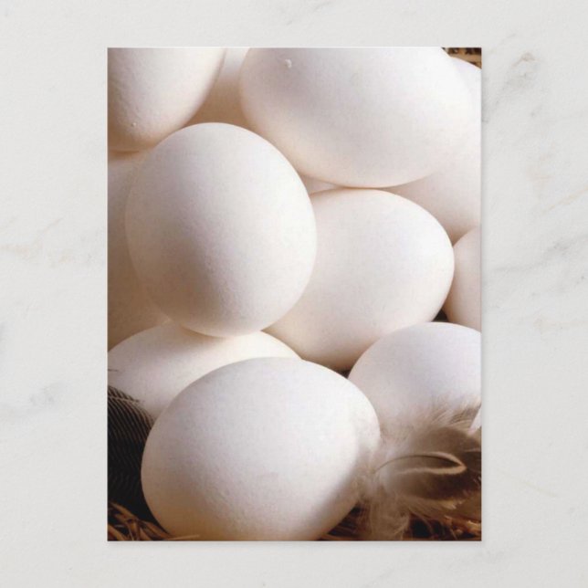 Eggs Postcard (Front)