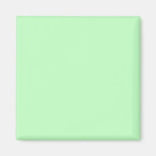 Eggshell Blue Green Pastel Colour Background Magnet
