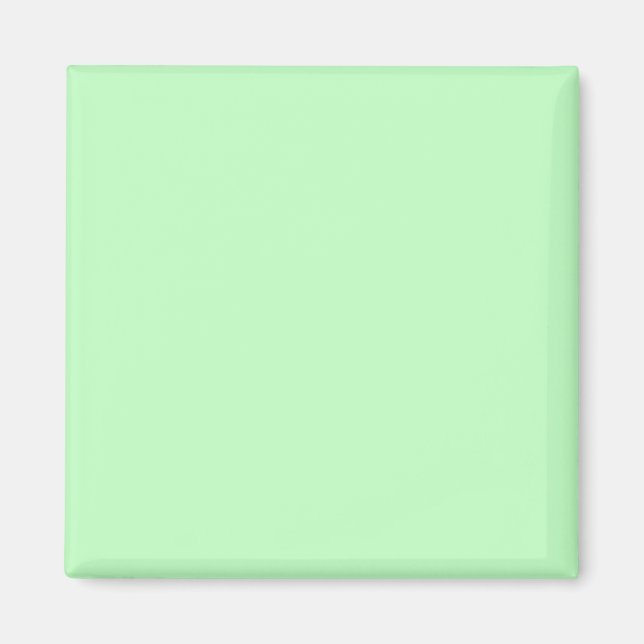 Eggshell Blue Green Pastel Colour Background Magnet (Front)