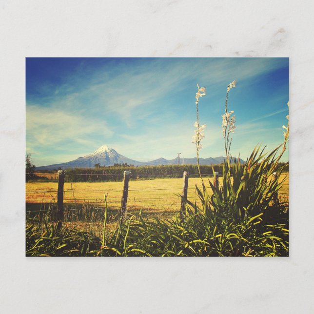 Egmont Village Postcard (Front)