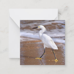 Egret at the Beach mini notecard set