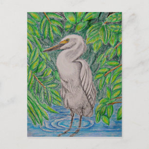 Egret bird postcard