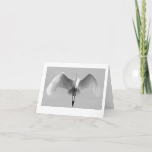 Egret Card