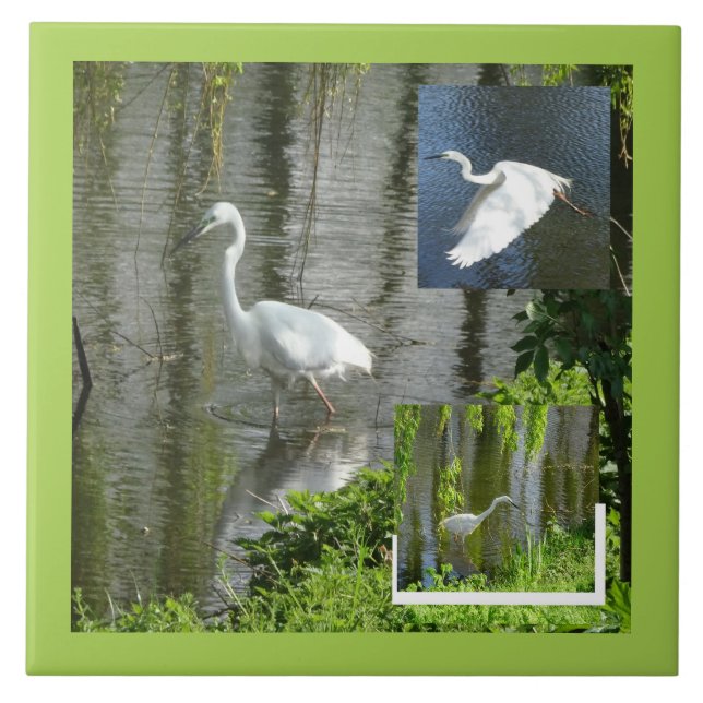 Egret Collage Cust. Border Colour Ceramic Tile (Front)