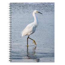 Egret Fine Art Photo
